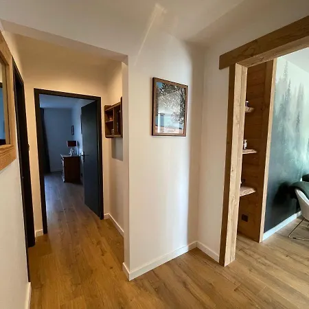 Les 2 Biches, Hyper Centre Et Spacieux Apartment